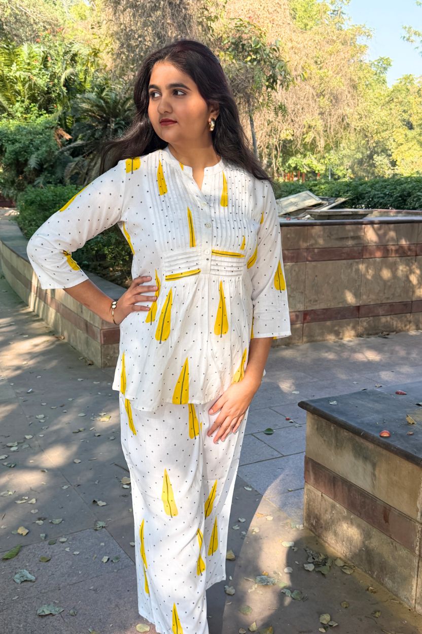 🌻Chndramukhi Stylish Women Co-ord Set