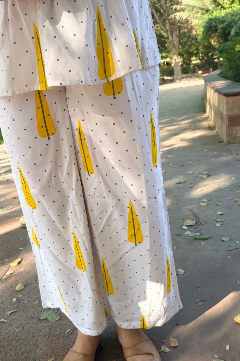 🌻Chndramukhi Stylish Women Co-ord Set